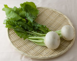 今月の旬の食材 かぶ