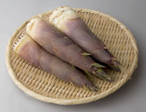 今月の旬の食材 筍(たけのこ)