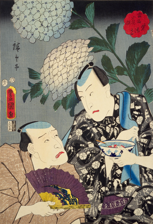 浮世絵「当盛六花撰 紫陽花」