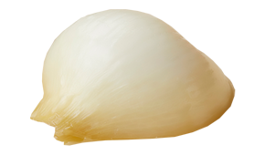 新たまねぎ