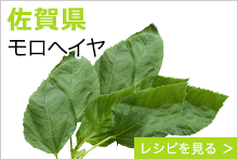 佐賀県　モロヘイヤ