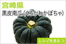 宮崎県　黒皮南瓜（くろかわかぼちゃ）