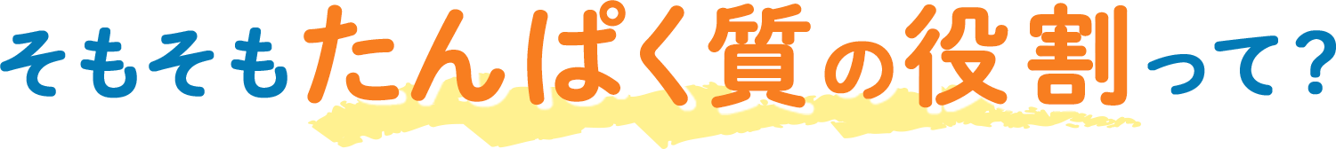そもそもたんぱく質の役割って？