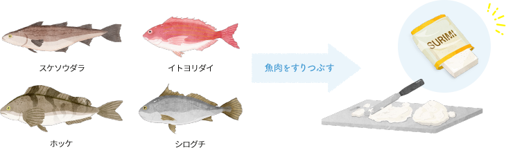 スケトウダラ・イトヨリダイ・ホッケ・シログチなどの魚肉をすりつぶすことですりみが出来上がる図